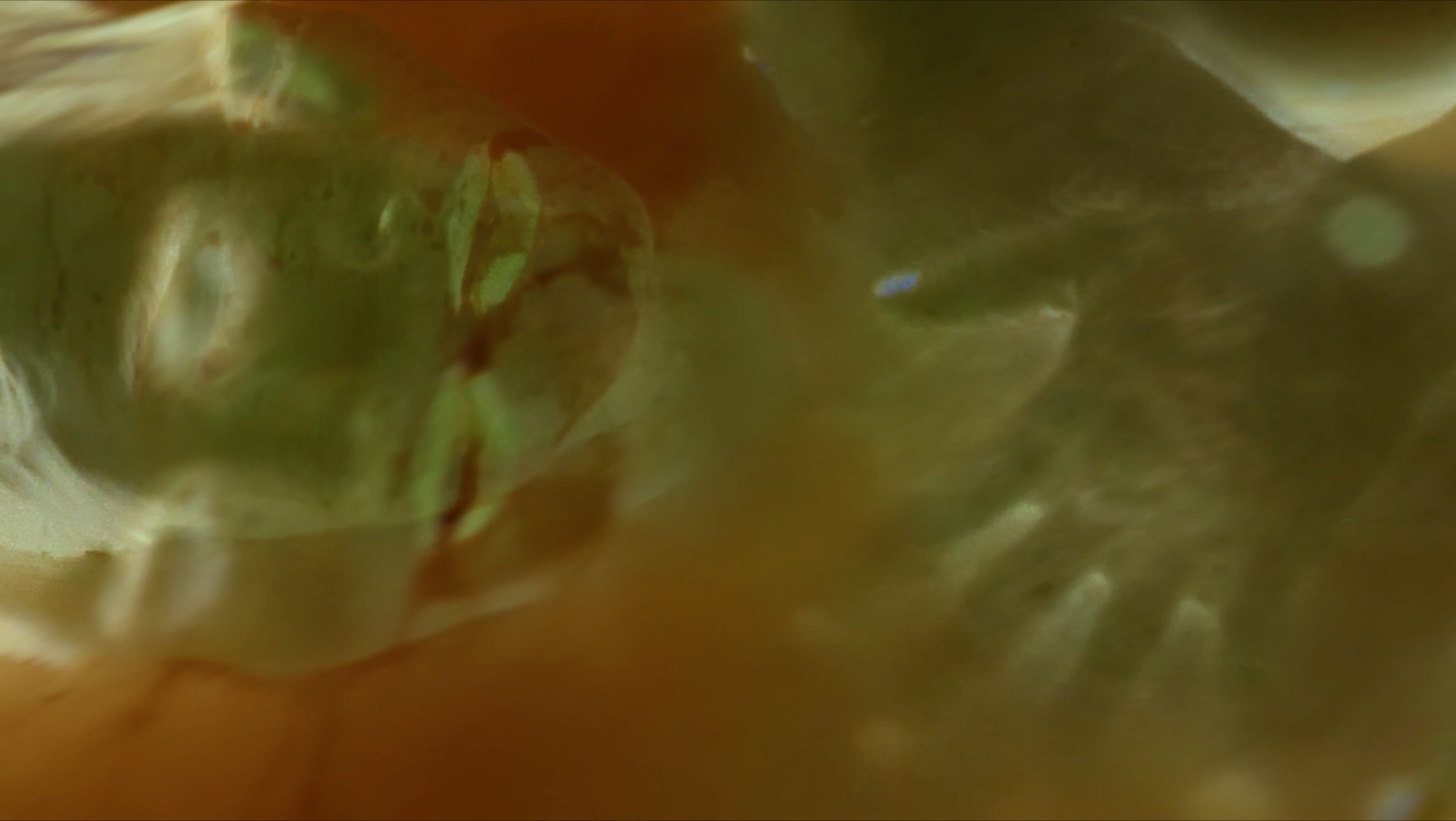 PLAGIAT live visual